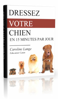 cover_dressagechien